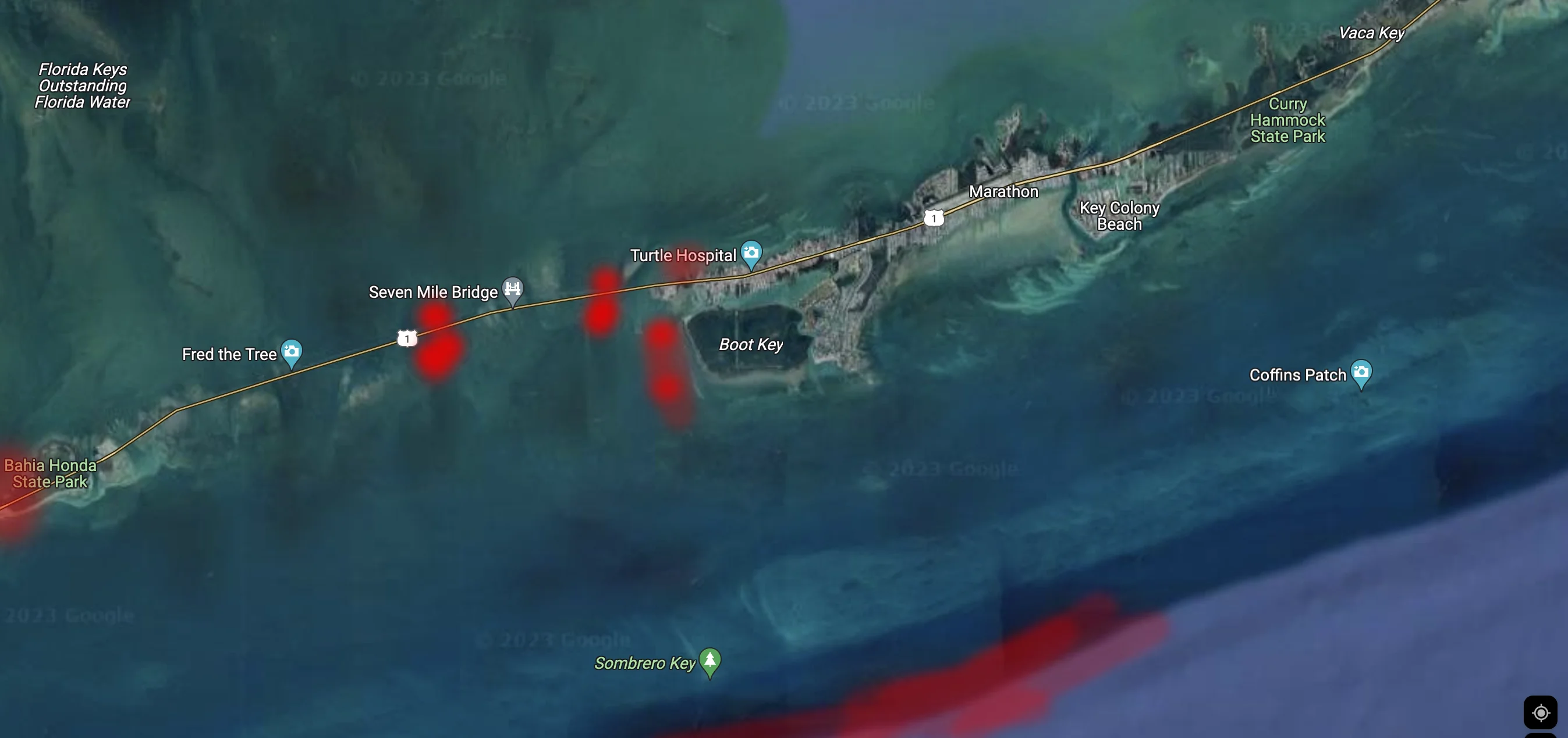 how to shark fish spots map
